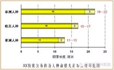 男生的下體|人類陰莖